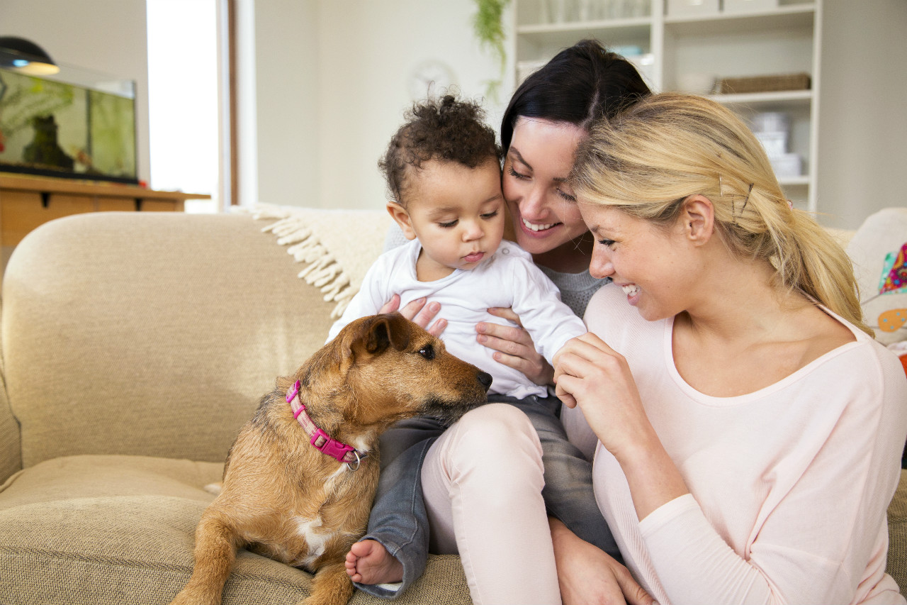 LGBT Family Planning - lesbian couple with toddler and dog